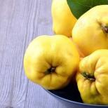 «Золотое яблоко Афродиты»: как правильно есть айву и чем она полезна