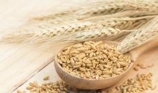 Пшеница - все о растении - описание, свойства, виды Что изготовляют из пшеницы