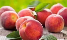 Натуральные консервированные персики половинками без сахара — рецепт вкусной домашней заготовки на зиму Персики натуральные половинками