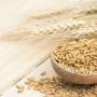Пшеница - все о растении - описание, свойства, виды Что изготовляют из пшеницы