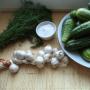 Малосольные огурцы: быстрые рецепты засолки огурцов