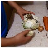 Как приготовить сочную и аппетитную жареную капусту с прекрасным ароматом Как поджарить капусту на сковороде